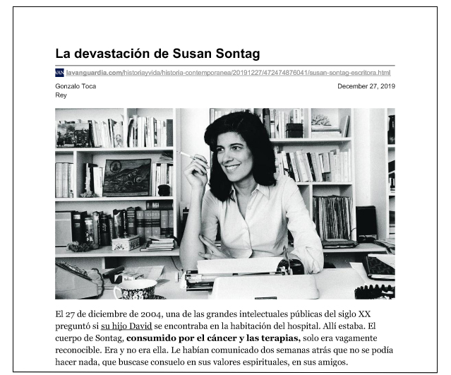 La Devastación de Susan Sontag
