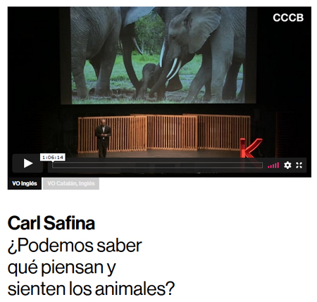 CCCB Carl Safina